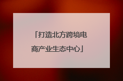 打造北方跨境电商产业生态中心
